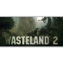 Wasteland 2