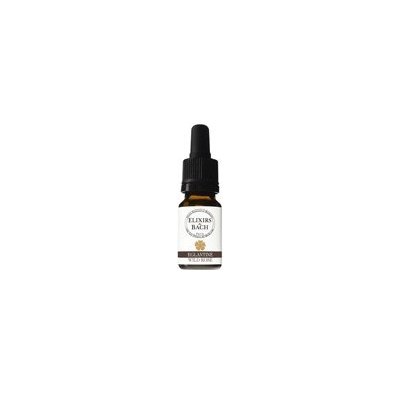 Bachovy květové bio esence Les fleurs de Bach Růže šípková Wild Rose 10 ml – Hledejceny.cz