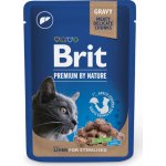 Brit Premium Cat Sterilised Liver 100 g – Zbozi.Blesk.cz