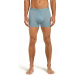 Icebreaker Mens 125 Cool-Lite Anatomica Trunks – Zboží Mobilmania
