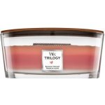 WoodWick Trilogy Blooming Orchard 453,6 g – Zboží Dáma