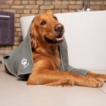 Vileda Pet 172650 ručník z mikrovlákna šedý 45 x 70 cm – Zboží Mobilmania