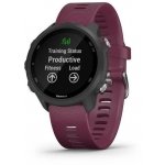 Garmin Forerunner 245 – Sleviste.cz