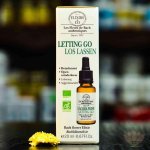Elixirs & Co Les Fleurs de Bach kombinovaná esence Sebepoznání 20 ml – Hledejceny.cz