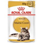 Royal Canin Maine Coon Adult granule pro kočky 48 x 85 g – Hledejceny.cz