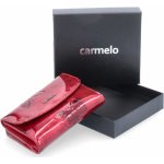 Dámská kožená Carmelo 2117 M červená motýlci – Hledejceny.cz