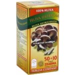ImunitHlíva ústřičná 70 tobolek – Hledejceny.cz
