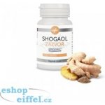 Epigemic Shogaol Zázvor 30 kapslí – Hledejceny.cz