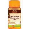 Doplněk stravy Vitaharmony Glukosamin + Chondroitin žraločí + MSM 30 tablet