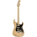 Fender American PRO Stratocaster