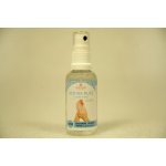 Lavosept Ruce Deo na ruce dezinfekce rukou a kůže roztok s vůní višní 50 ml – Zbozi.Blesk.cz