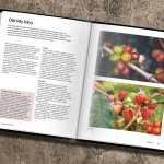 Bible kávy - Mistrovský průvodce světem kávy – Hledejceny.cz