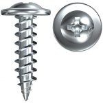FISCHER vrut s rámovou hlavou FPS-FP 4,2*13mm 040456 – Hledejceny.cz