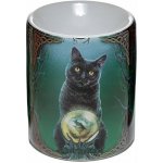 Puckator aroma lampa mědvěd 10 cm – Sleviste.cz