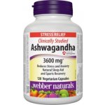 Webber Naturals Ashwagandha 3600 mg 120 kapslí – Hledejceny.cz