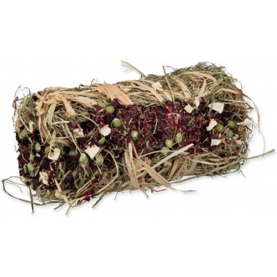 Trixie Seno lisované s červenou řepou a pastinákem 0,2 kg – Sleviste.cz