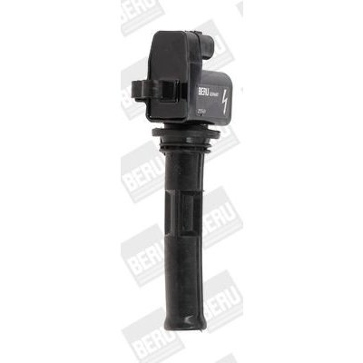 Zapalovací cívka BorgWarner (BERU) ZSE047 – Hledejceny.cz