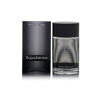 Ermenegildo Zegna Intenso toaletní voda pánská 100 ml