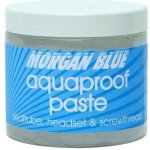 Morgan Blue Aquaproof Paste 200 ml – Zboží Dáma