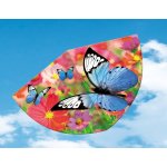 Günther MOTÝLI 75 x 48 cm – Zboží Dáma