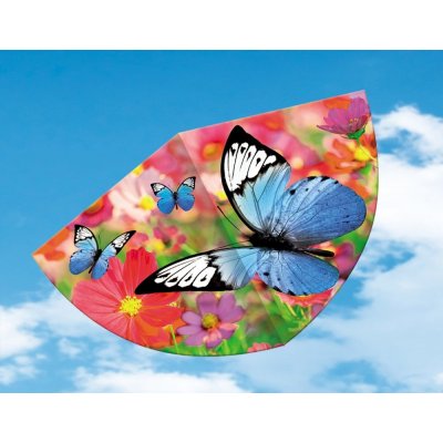 Günther MOTÝLI 75 x 48 cm – Zboží Dáma