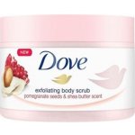 Dove Exfoliating Body Scrub Pomegranate Seeds & Shea Butter pečující tělový peeling 225 ml – Hledejceny.cz