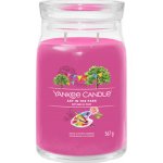 Yankee Candle Signature ART IN THE PARK 368 g – Hledejceny.cz