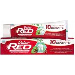 Dabur Red na zanícené dásně 100 g – Hledejceny.cz
