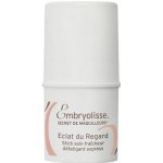 Embryolisse Artist Secret Radiant eye Cooling and Refreshing Stick 4,5 g – Zboží Mobilmania