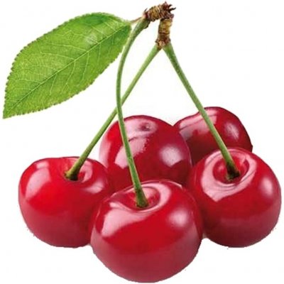 Třešeň Stella výška 150/175cm, kvěitnác 6 litrů – Sleviste.cz