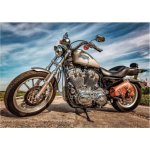 Dino Harley Davidson 500 dílků – Zboží Mobilmania