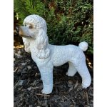 BOCON s.r.o. Pes pudl – Zboží Dáma