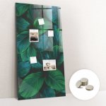 tulup Magnetická Tabule na Zeď Skleněná - Memo Board Kleněnou Přední Stranou - 5 magnetů v balení - 60 x 120 cm - Velké tropické listy – Zboží Mobilmania
