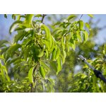 GARDENA Postřikovač na záda 12 l 11140-20 – Sleviste.cz