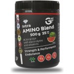 GF Nutrition Intra AMINO Blend 500 g – Sleviste.cz