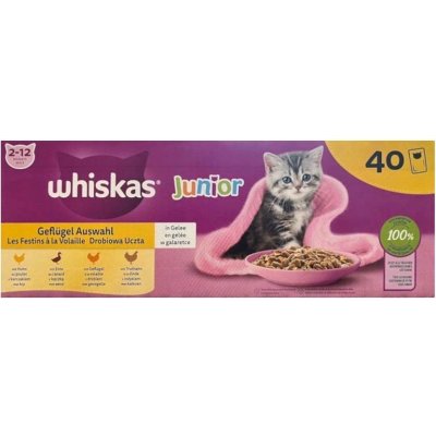 Whiskas Junior Drůbeží hody s kuřecím kachním drůbežím a krůtím v želé 40 x 85 g – Zboží Mobilmania