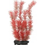 Tetra Myriophyllum heterophyllum - Red Foxtail 30 cm – Sleviste.cz