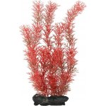 Tetra Myriophyllum heterophyllum - Red Foxtail 30 cm – Hledejceny.cz