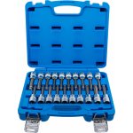 BGS 5170, Sada nástrčných hlavic | hnací vnitřní čtyřhran 12,5 mm (1/2") | vnitřní šestihran, T-profil (pro Torx), vnitřní tisícihran (pro XZN) s kulovou hlavou | 20dílná – Zboží Dáma BGS 5170, Sada nástrčných hlavic | hnací vnitřní čtyřhran 12,5 mm (1/2") | vnitřní šestihran, T-profil (pro Torx), vnitřní tisícihran (pro XZN) s kulovou hlavou | 20dílná – Zboží Dáma
