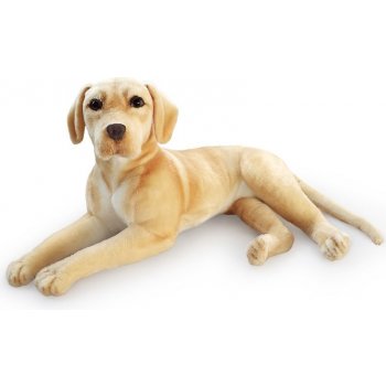 pes Retrívr / Labrador zlatý ležící 83 cm