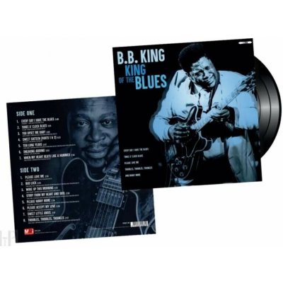 King of the Blues - B.B. King LP – Hledejceny.cz