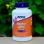 Now Foods Alpha GPC 300 mg x 60 rostlinných kapslí – Zboží Mobilmania