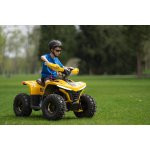 Lamax eBumbleBee ATV60M | Zboží Auto