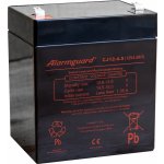 Alarmguard 12V 4,5Ah CJ12-4,5 – Zboží Živě