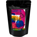 BotaCoffee Lucky 13 zrnková 250 g – Hledejceny.cz