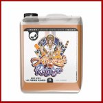 Nuke Guys ALLZWECKREINIGER APC 5 l | Zboží Auto