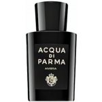 Acqua di Parma Ambra parfémovaná voda unisex 20 ml – Hledejceny.cz