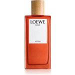 Loewe Solo Atlas parfémovaná voda pánská 50 ml – Hledejceny.cz