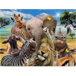 Norimpex Diamantové malování Safari selfie 30 x 40 cm – Sleviste.cz