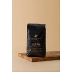 Rodinná pražírna Gusto Café Mexico Esmeralda SHG zrnková 0,5 kg – Hledejceny.cz